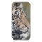 Tiger iPhone 5 case