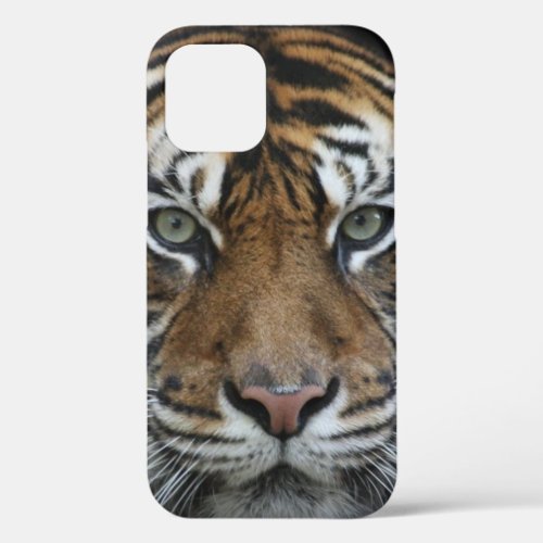 Tiger iPhone Case