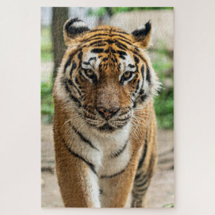 Tiger Jigsaw Puzzle