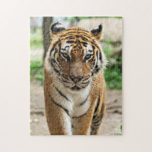 Tiger Jigsaw Puzzle