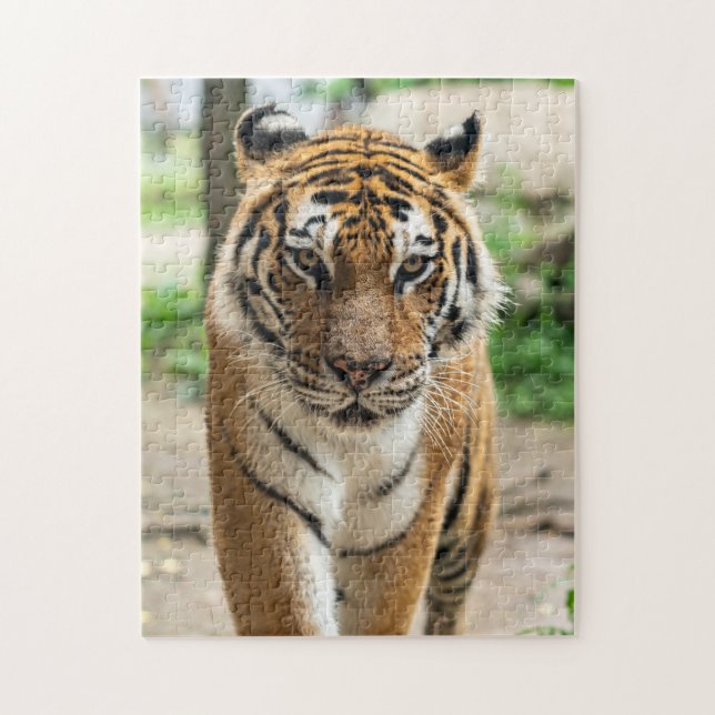 Tiger Jigsaw Puzzle (Vertical)