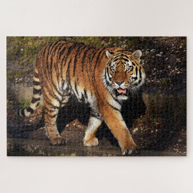 Tiger Jigsaw Puzzle (Horizontal)
