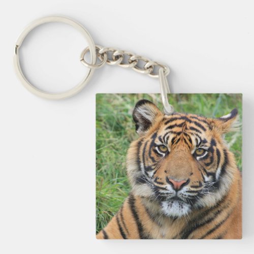 Tiger Keychain