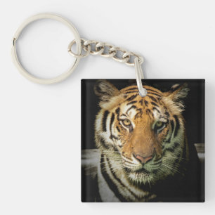 tiger keychain