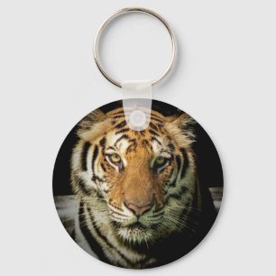 tiger keychain