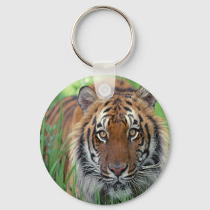 Tiger Keychain