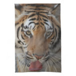 Tiger Kisses Kitchen Towel