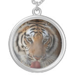 Tiger Kisses Necklace