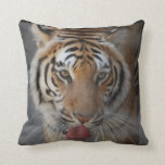 Tiger Kisses Pillow