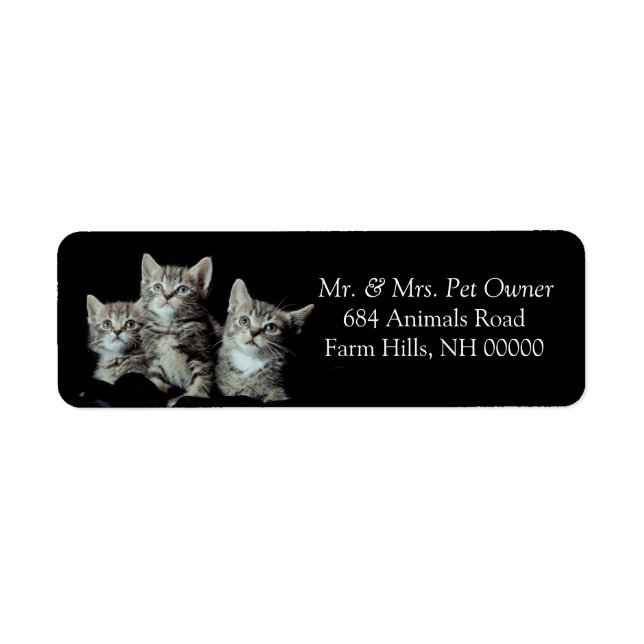 Tiger Kittens Return Address Stickers Labels (Front)