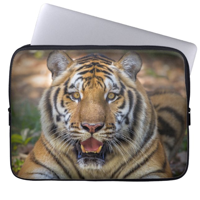 Tiger Laptop Sleeve (Front)