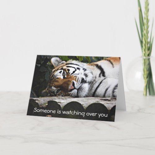 Tiger laying down watching over you Greeting Card