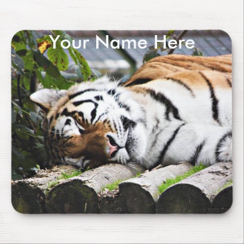 Tiger laying down watching you mouse pad