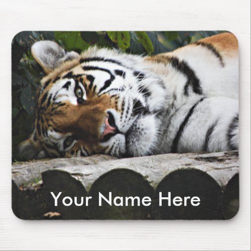 Tiger laying down watching you mouse pad