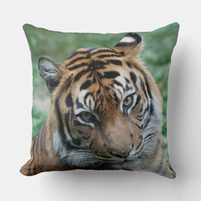 Tiger left and right 002 throw pillow (Front)