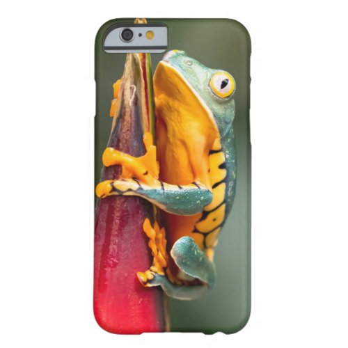 Tiger Legged Monkey Tree Frog Green Orange Barely There iPhone 6 Case