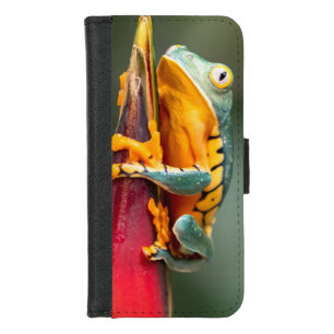 Tiger Legged Monkey Tree Frog Green Orange iPhone 8/7 Wallet Case