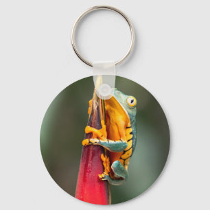 Tiger Legged Monkey Tree Frog Green Orange Keychain
