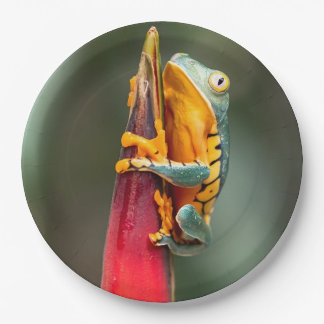 Tiger Legged Monkey Tree Frog Green Orange Paper Plates (Front)