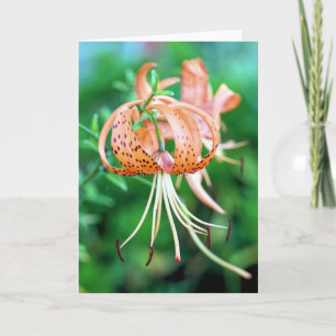 Tiger lilies card