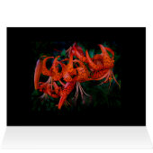 Tiger Lilly (Inside Horizontal (Top))