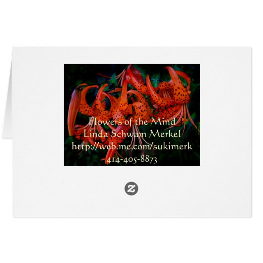 Tiger Lilly Cards (Back Horizontal)
