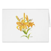 Tiger lily (Front Horizontal)