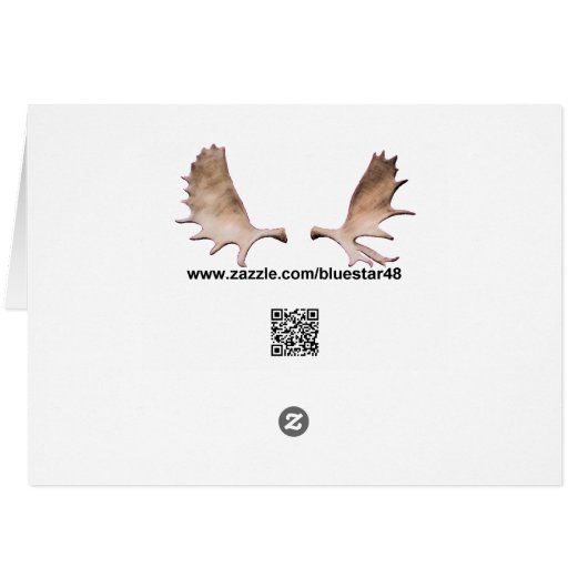 Tiger Lily (Back Horizontal)