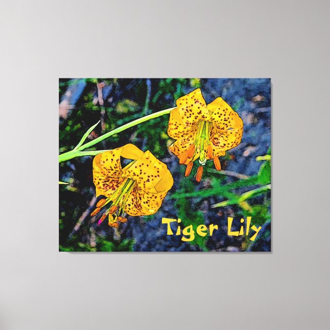 Tiger Lily Canvas Print (Front)