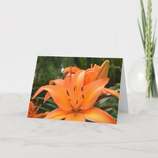Tiger Lily, card