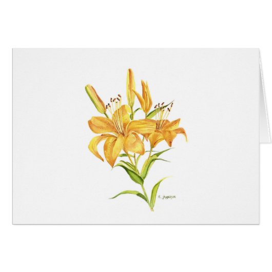 Tiger lily cards (Front Horizontal)