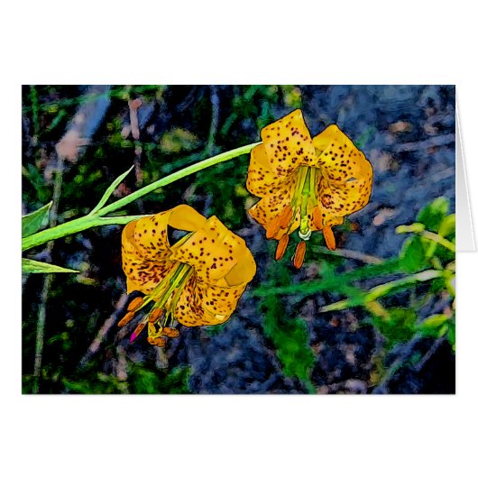 Tiger Lily Cards (Front Horizontal)