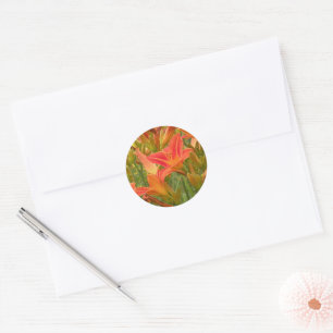 Tiger Lily Classic Round Sticker