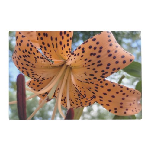 Tiger Lily Flower Cheer Laminated Placemat