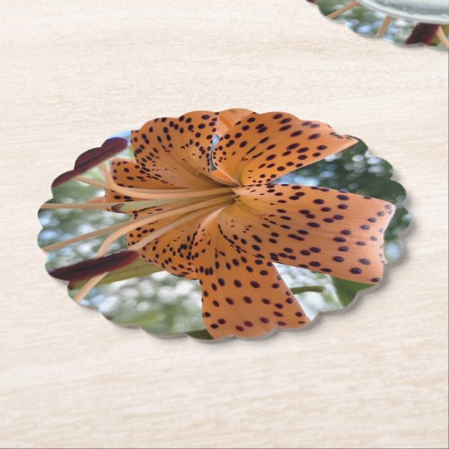 Tiger Lily Flower Cheer Paper Coaster