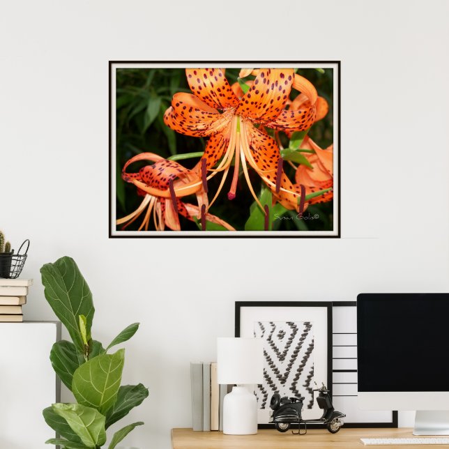 Tiger Lily Flower Garden Poster (Home Office)
