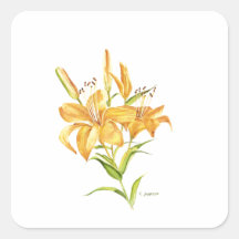 Tiger-lily flowers watercolor square sticker