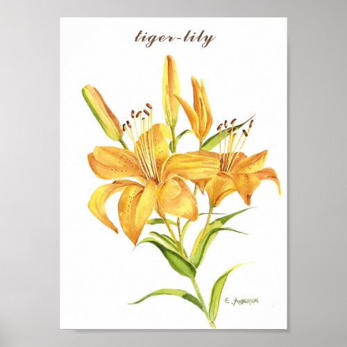 Tiger_lily in orange and yellow watercolor poster