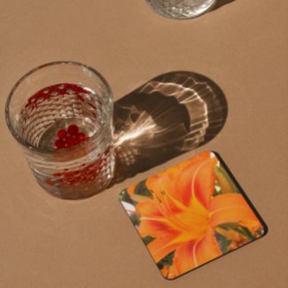 Tiger lily in summer
