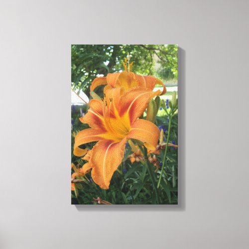 Tiger lily in the garden canvas print