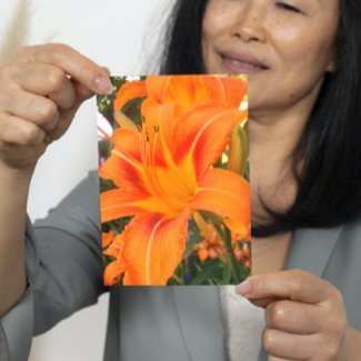 Tiger lily in the garden  