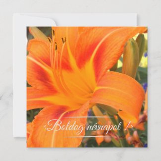 Tiger lily  - Name Day 