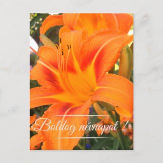 Tiger lily  - Name Day