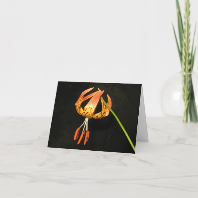 Tiger Lily Note Card (Front)