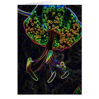 Tiger Lily Photoshop Cards