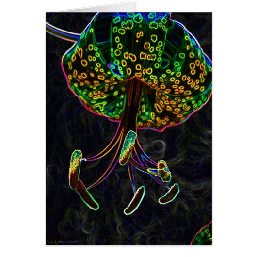 Tiger Lily Photoshop Cards (Front)