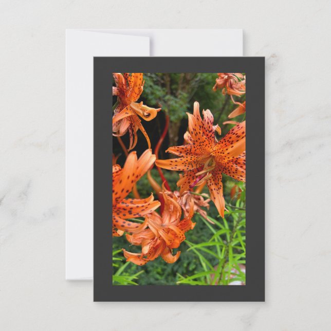 Tiger Lily Thank You Card (Front)