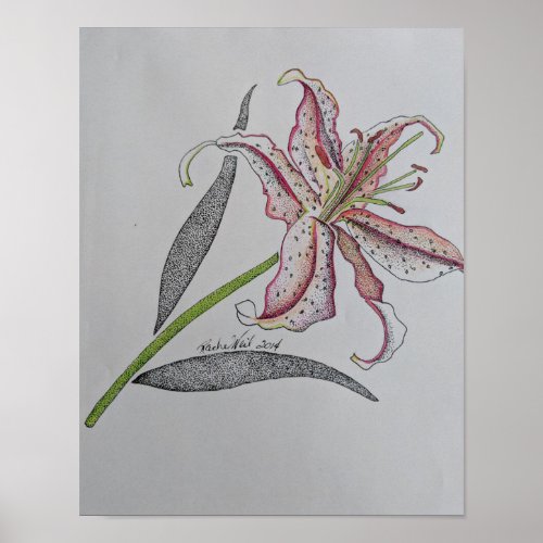 Tiger lily Wild lily Lily flower Orange art Poster