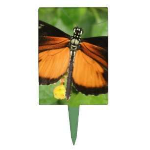 Tiger Longwing Butterfly Cake Pick