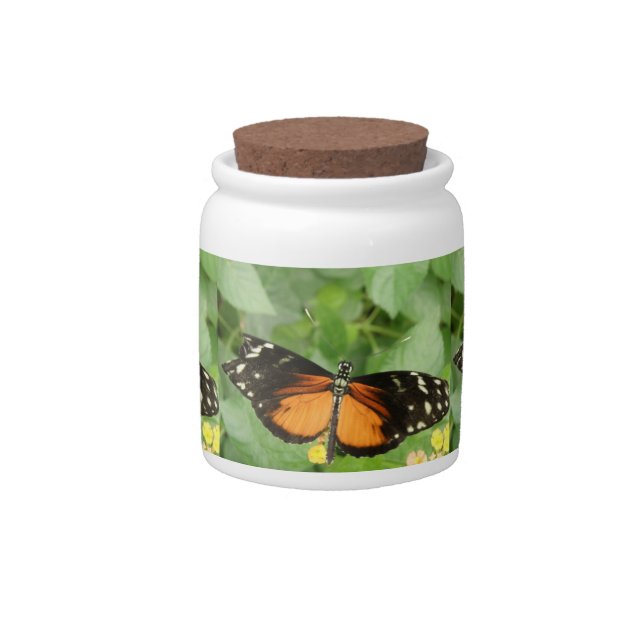Tiger Longwing Butterfly Candy Jar (Front)